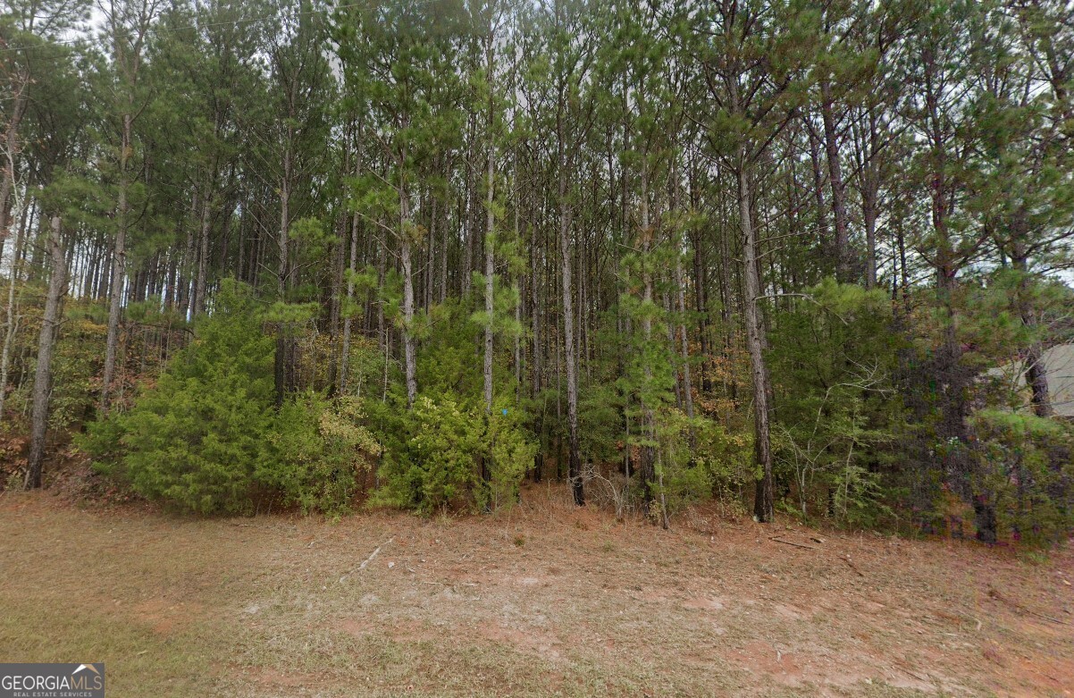 1751 Smokey Road LaGrange, GA 30241 - Photo 2 of 6