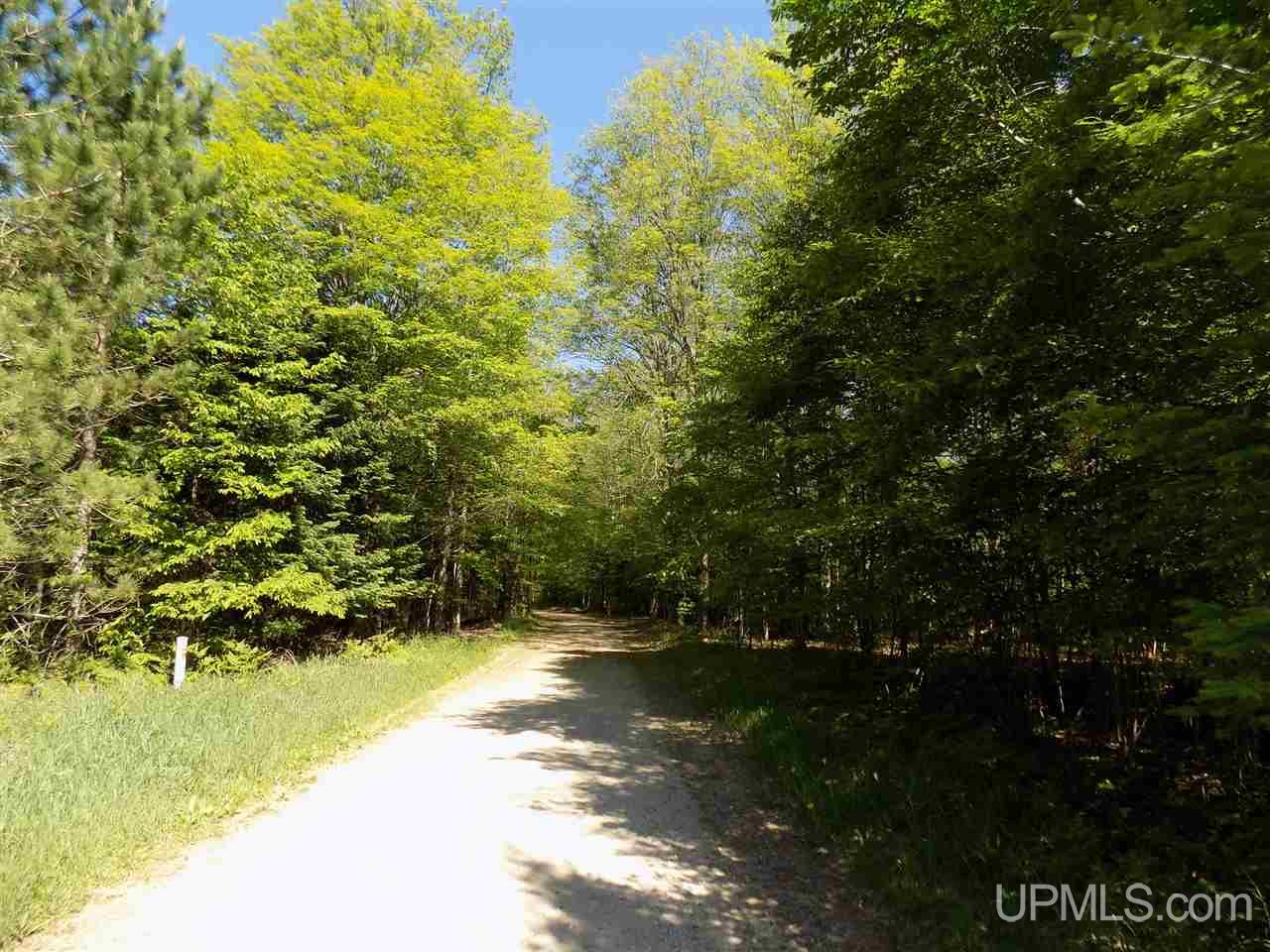 Tbd 160 Acres Camp 23 Road Gulliver, MI 49840 - Photo 11 of 48