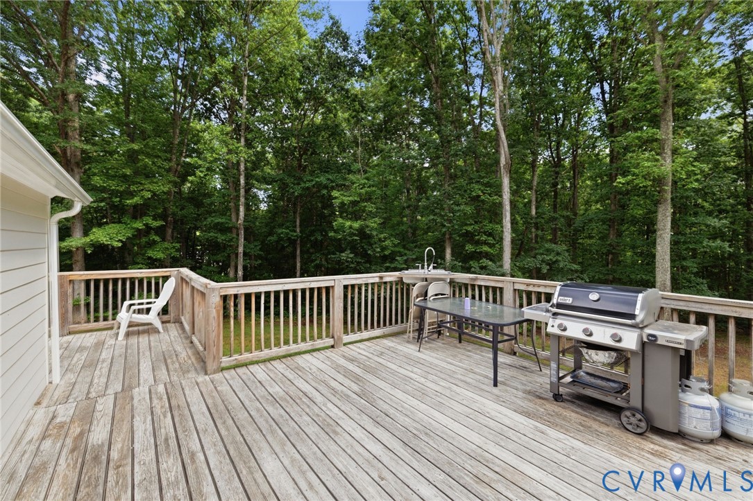 2145 Mountain View Road Powhatan, VA 23139 - Photo 23 of 28