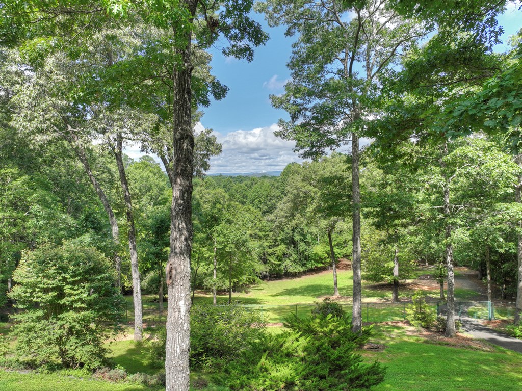88 Wagon Tracks Ridge Mineral Bluff, GA 30559 - Photo 53 of 79