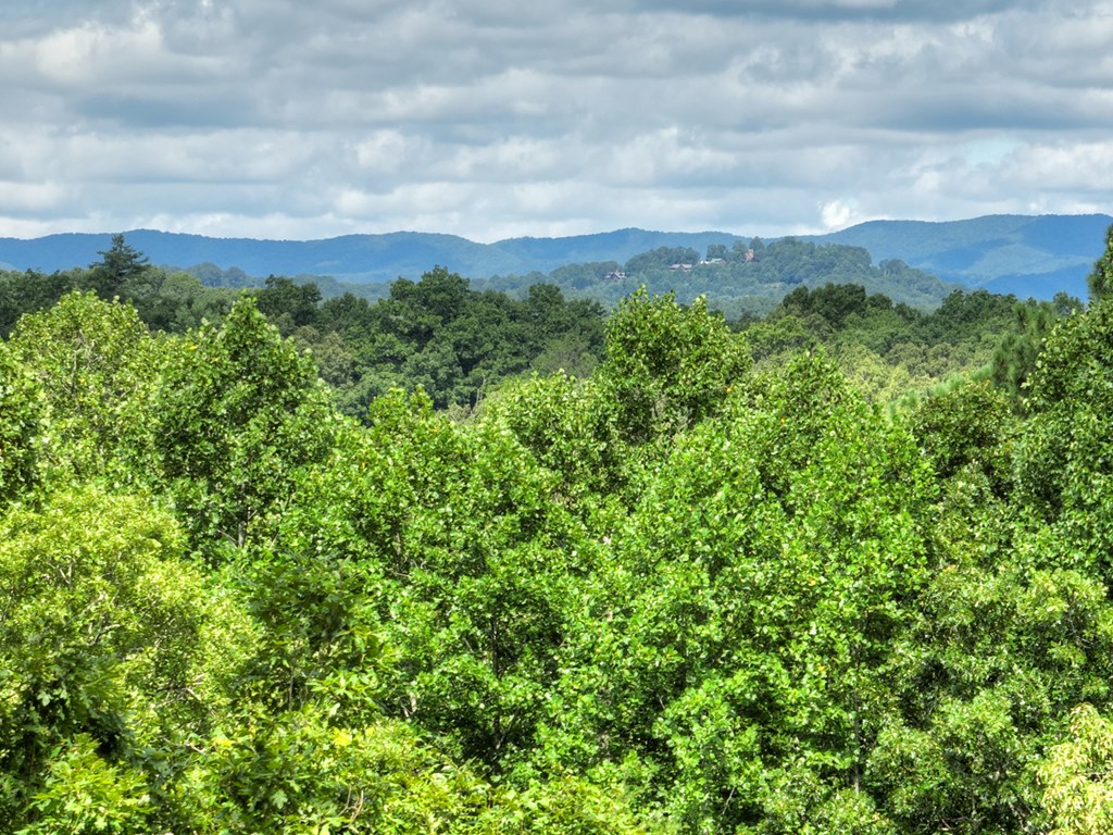 88 Wagon Tracks Ridge Mineral Bluff, GA 30559 - Photo 54 of 79
