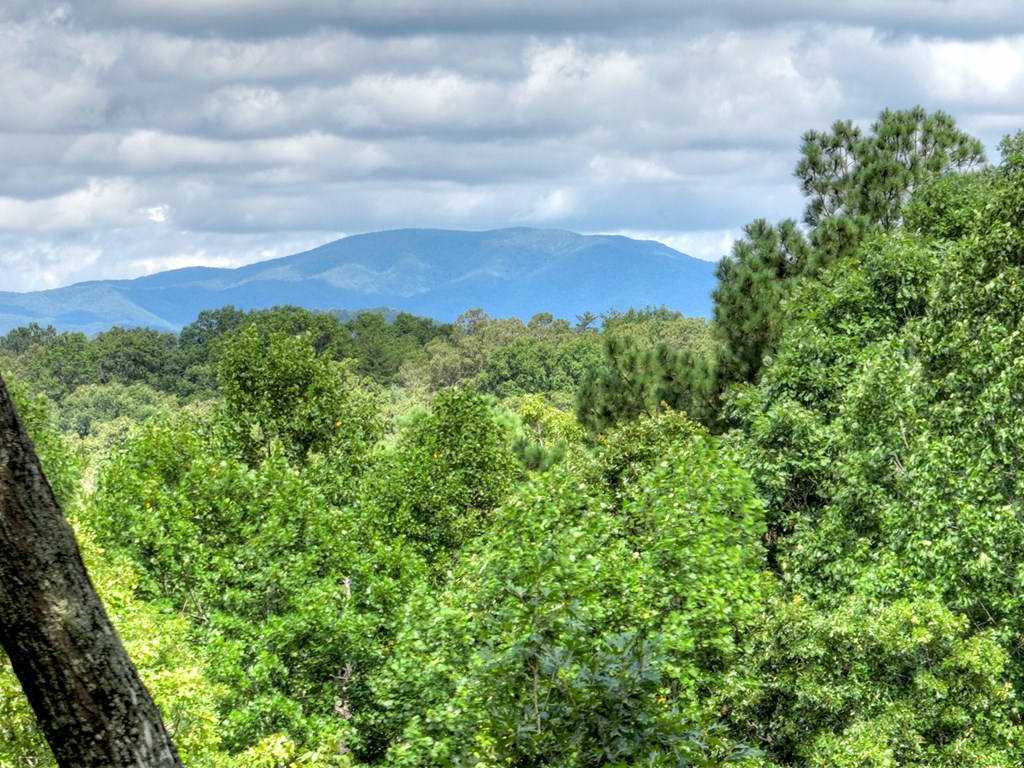 88 Wagon Tracks Ridge Mineral Bluff, GA 30559 - Photo 55 of 79