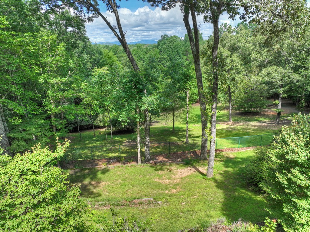 88 Wagon Tracks Ridge Mineral Bluff, GA 30559 - Photo 56 of 79