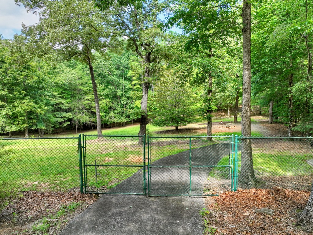88 Wagon Tracks Ridge Mineral Bluff, GA 30559 - Photo 59 of 79
