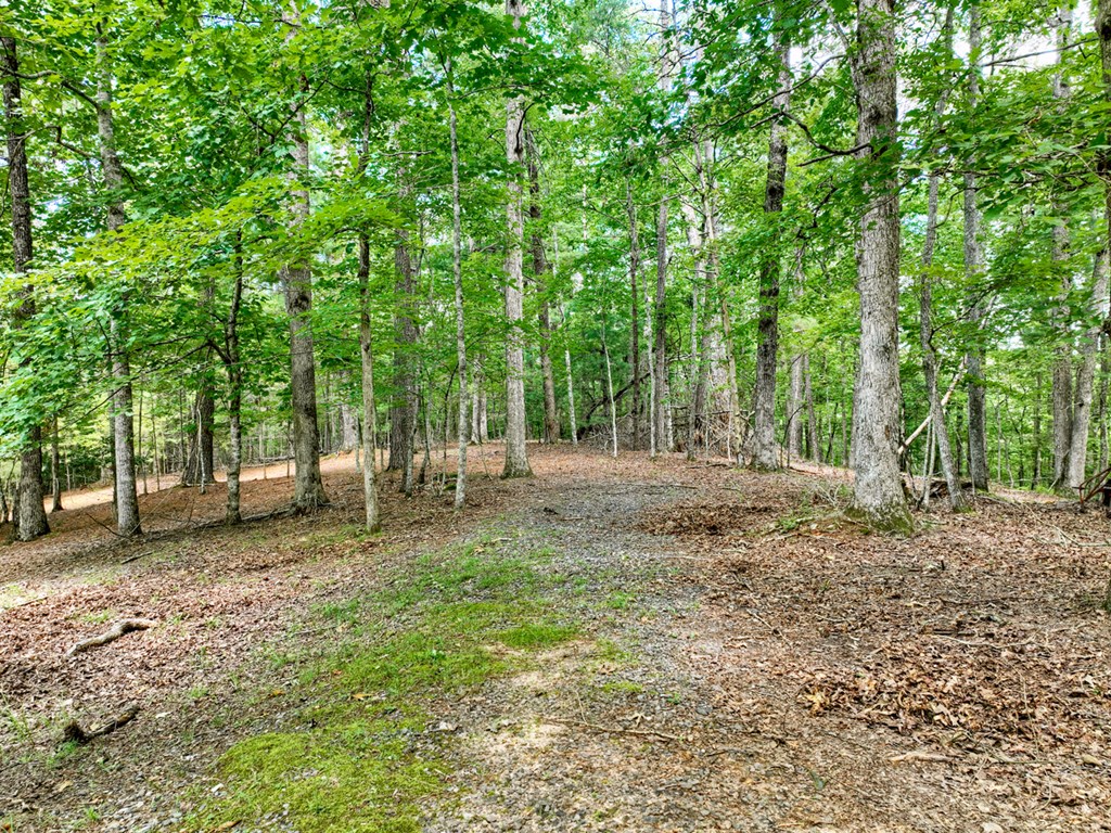 88 Wagon Tracks Ridge Mineral Bluff, GA 30559 - Photo 60 of 79