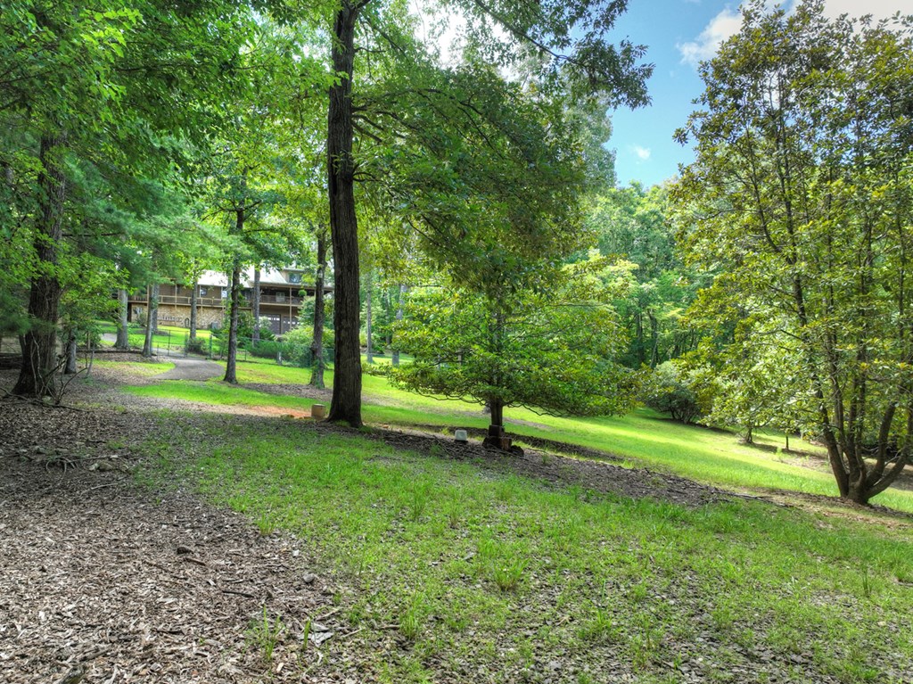 88 Wagon Tracks Ridge Mineral Bluff, GA 30559 - Photo 62 of 79