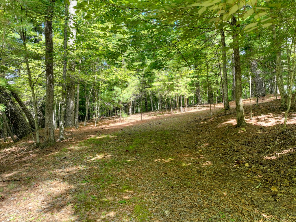 88 Wagon Tracks Ridge Mineral Bluff, GA 30559 - Photo 63 of 79