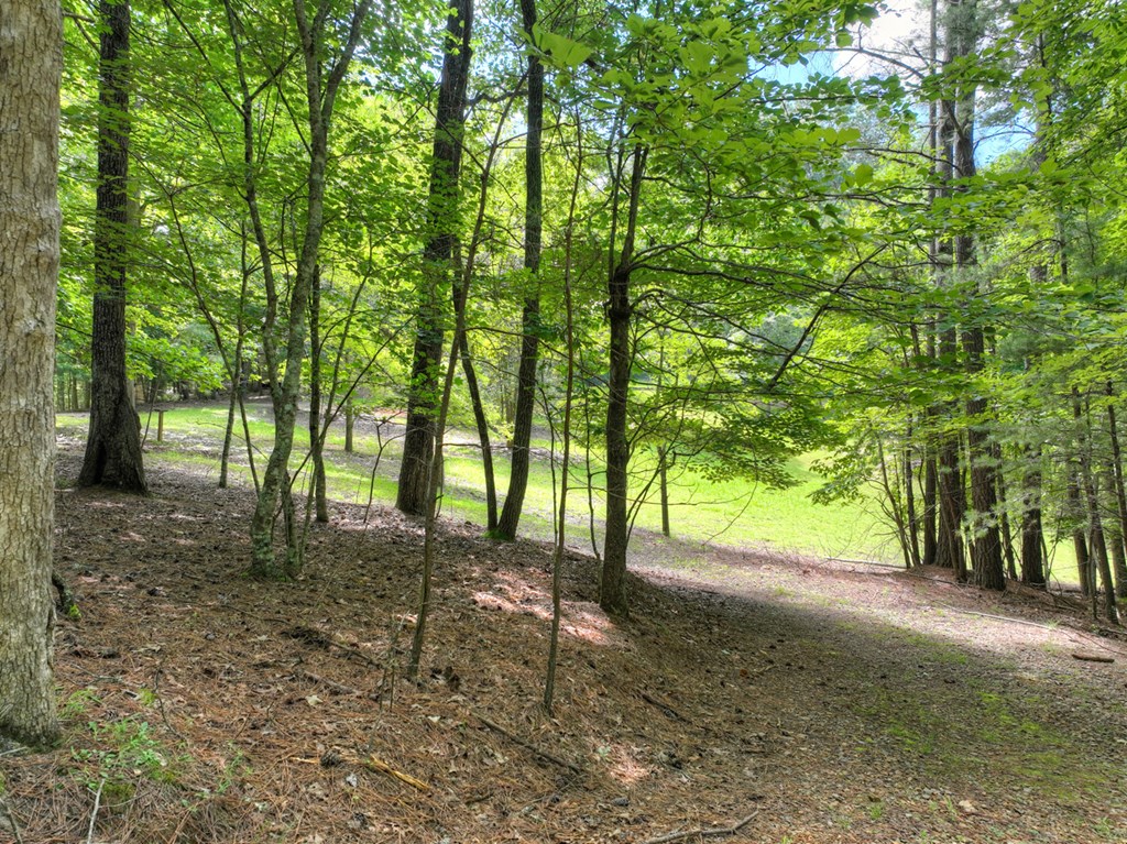 88 Wagon Tracks Ridge Mineral Bluff, GA 30559 - Photo 64 of 79