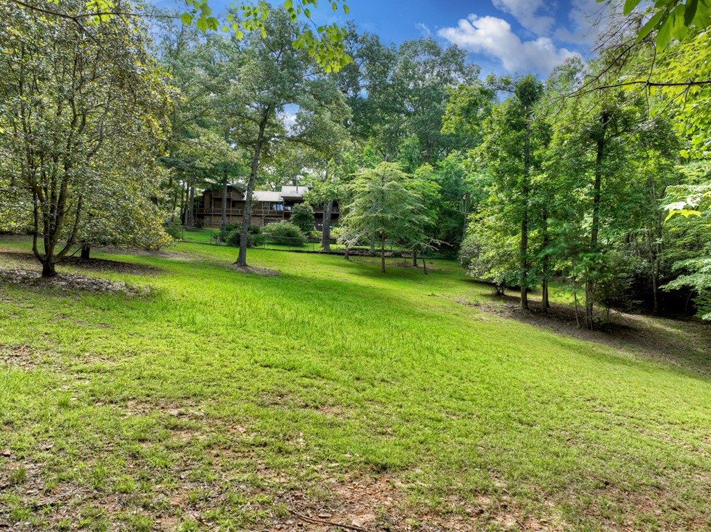 88 Wagon Tracks Ridge Mineral Bluff, GA 30559 - Photo 65 of 79