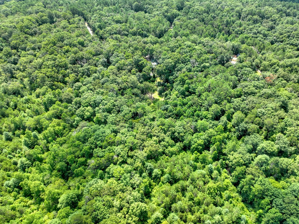 88 Wagon Tracks Ridge Mineral Bluff, GA 30559 - Photo 66 of 79