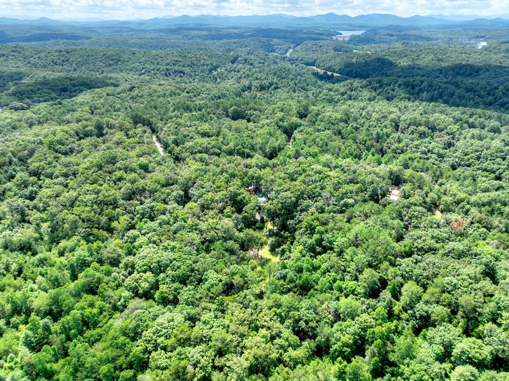 88 Wagon Tracks Ridge Mineral Bluff, GA 30559 - Photo 67 of 79