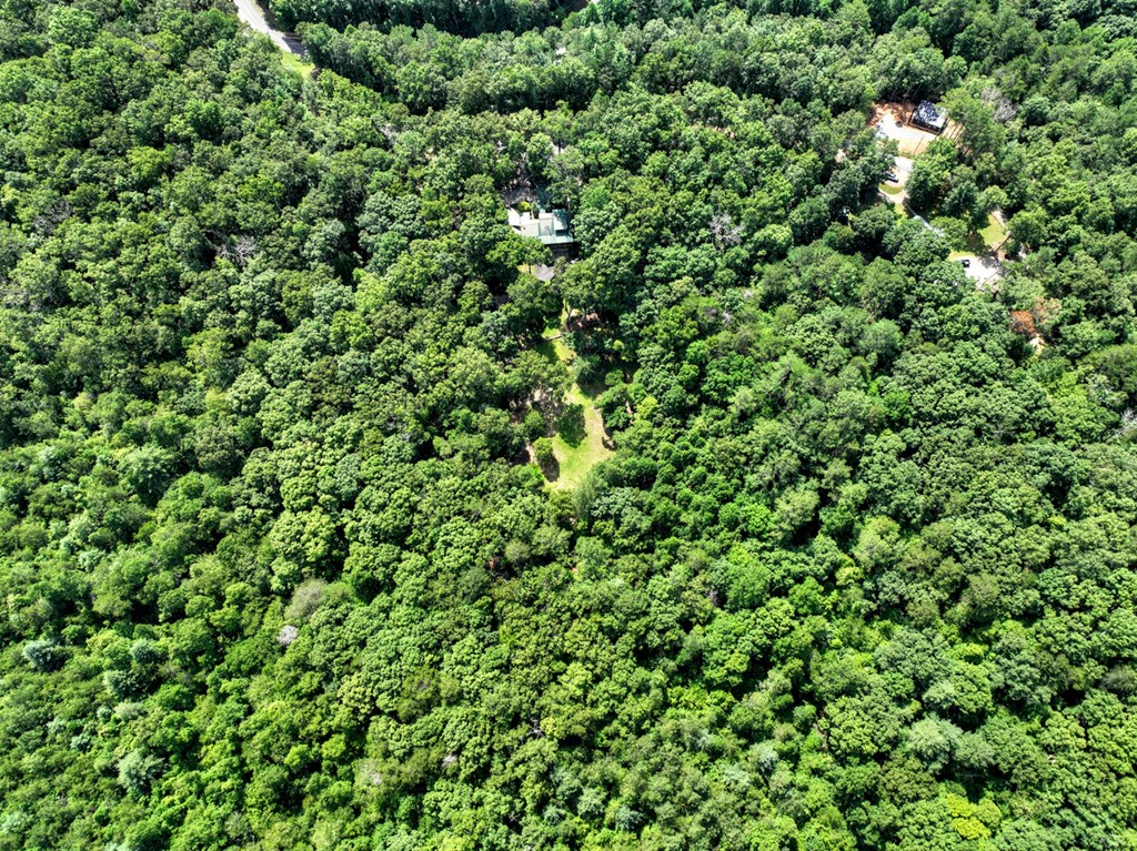 88 Wagon Tracks Ridge Mineral Bluff, GA 30559 - Photo 68 of 79