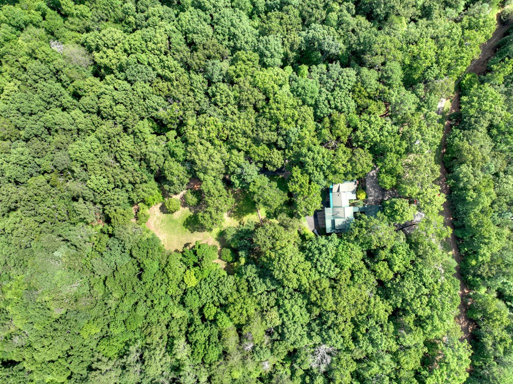 88 Wagon Tracks Ridge Mineral Bluff, GA 30559 - Photo 70 of 79