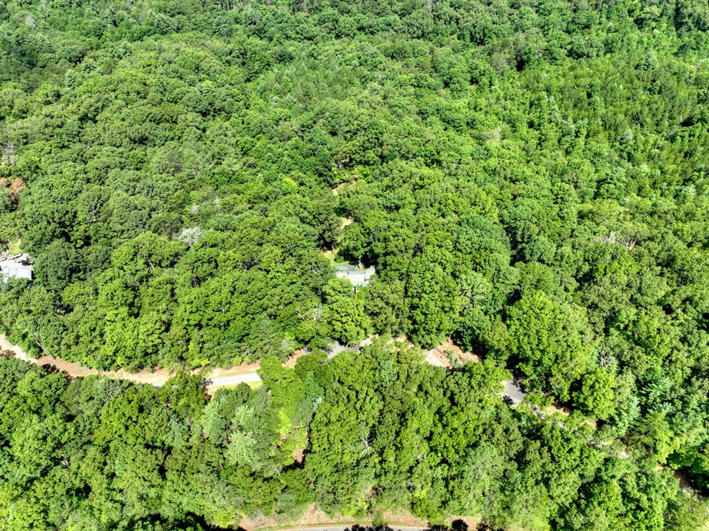 88 Wagon Tracks Ridge Mineral Bluff, GA 30559 - Photo 71 of 79