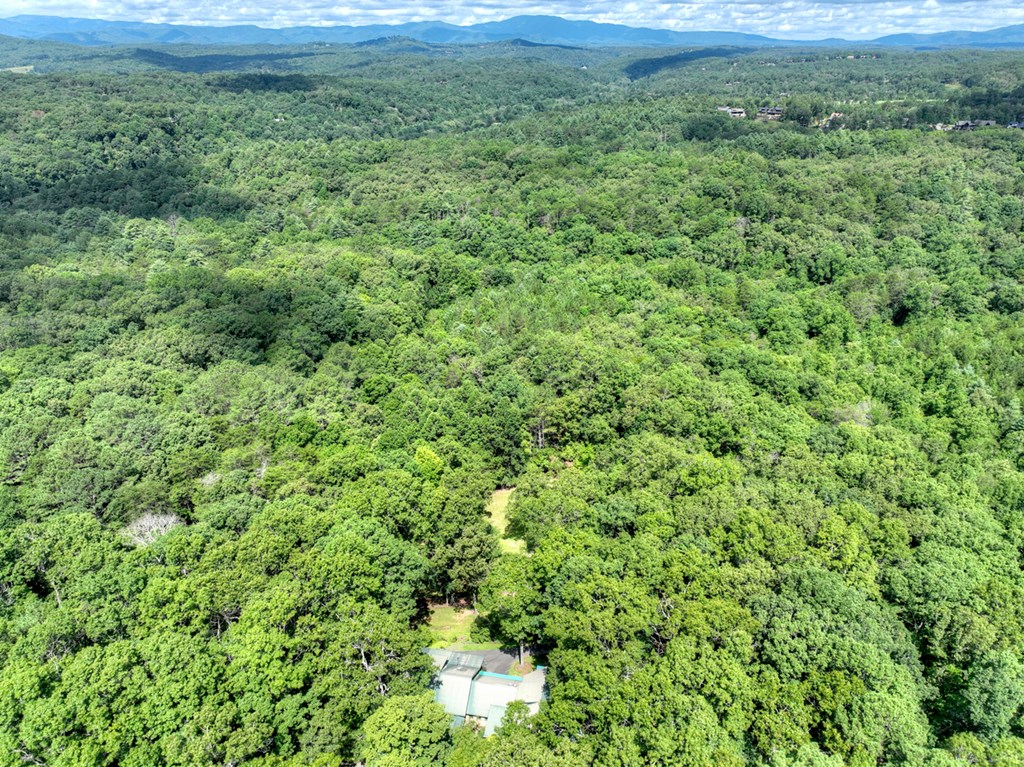 88 Wagon Tracks Ridge Mineral Bluff, GA 30559 - Photo 72 of 79