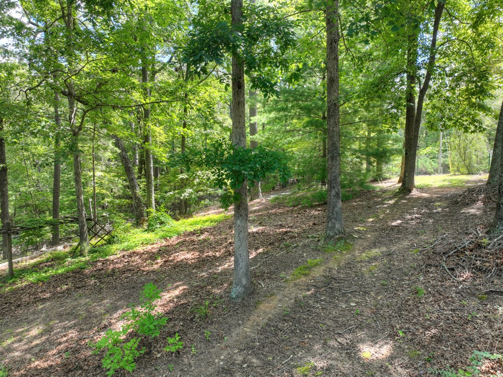 88 Wagon Tracks Ridge Mineral Bluff, GA 30559 - Photo 77 of 79