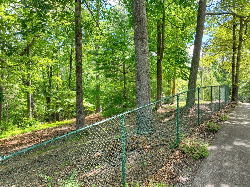 88 Wagon Tracks Ridge Mineral Bluff, GA 30559 - Photo 78 of 79
