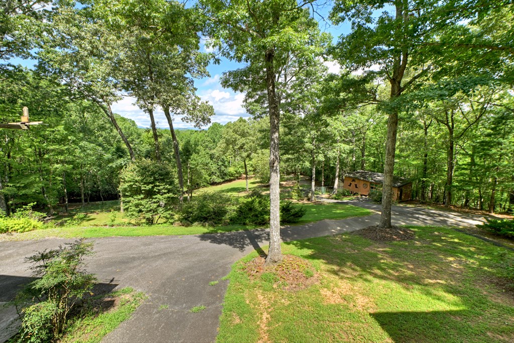 88 Wagon Tracks Ridge Mineral Bluff, GA 30559 - Photo 9 of 79