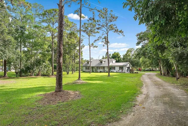 a view of a garden with trees