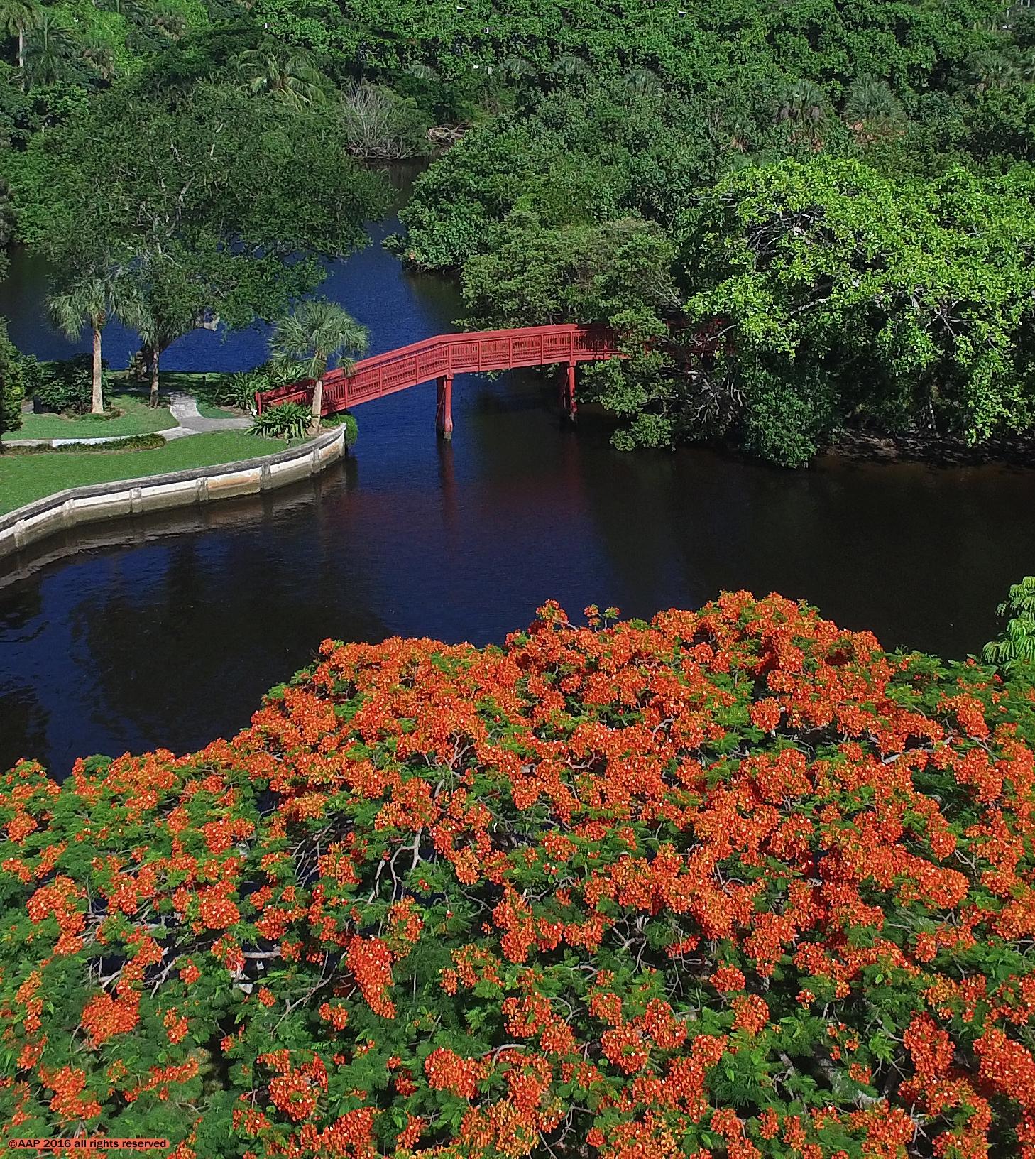 1216 Mulberry Way Boca Raton, FL 33486 - Photo 35 of 38 Camino Gardens