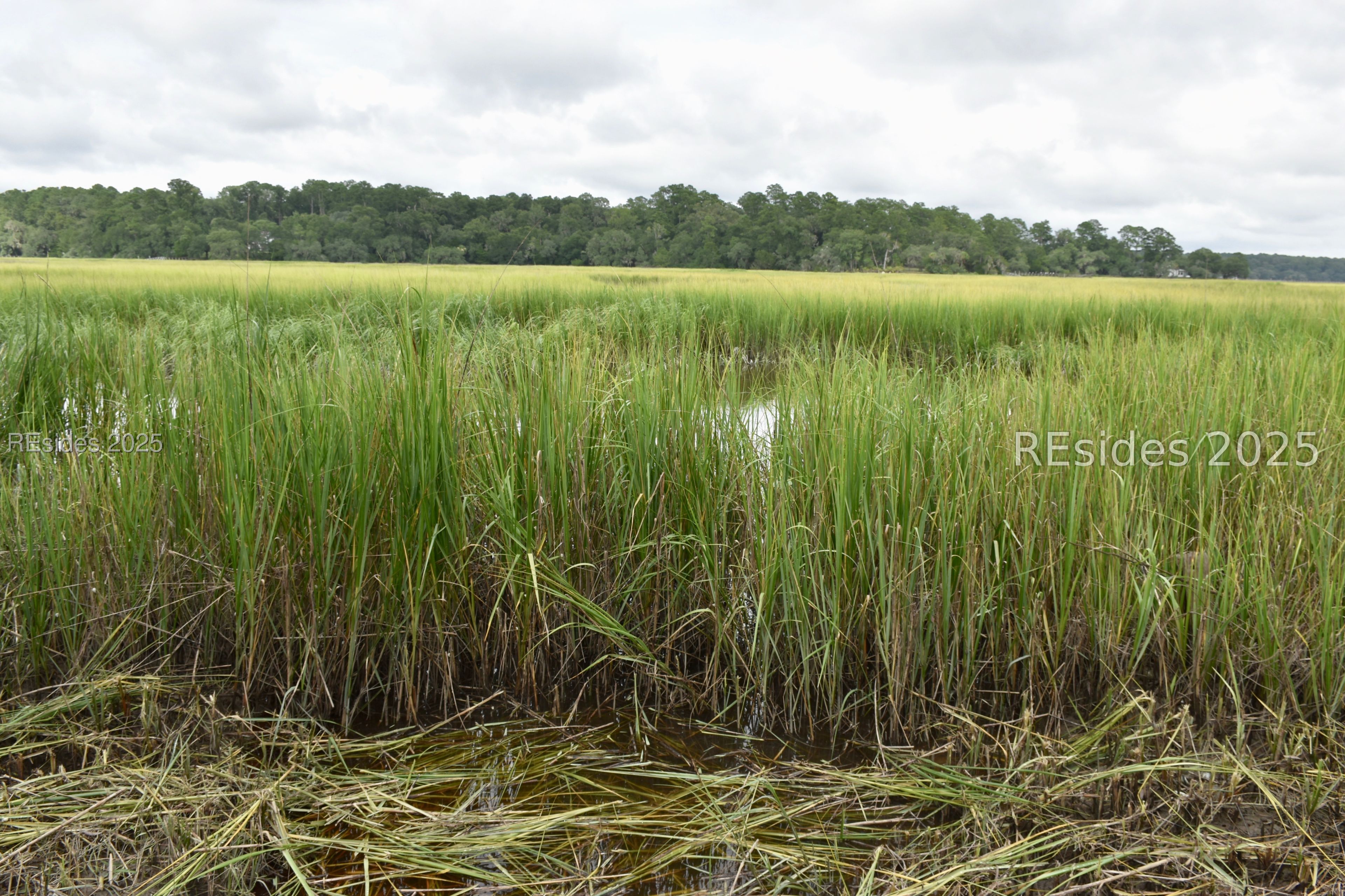 14 Stoney Landing Road Bluffton, SC 29910 - Photo 8 of 17 View of tidal creek