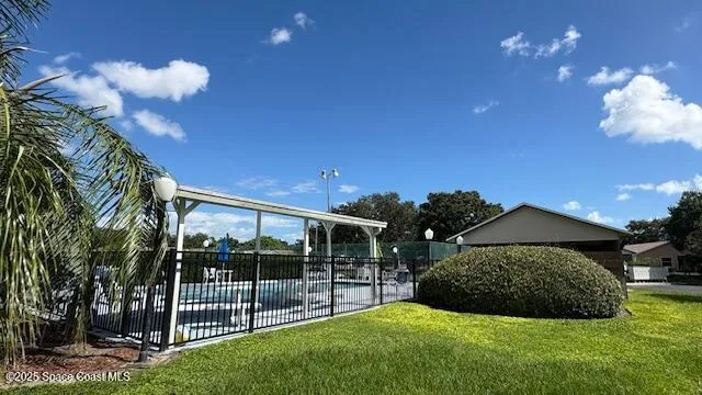 a view of palm trees