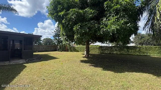 a view of a tree in a yard