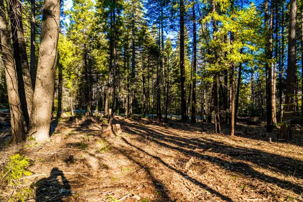 a view of a yard with wooden fence