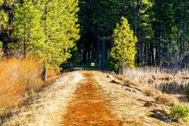 a view of yard with trees