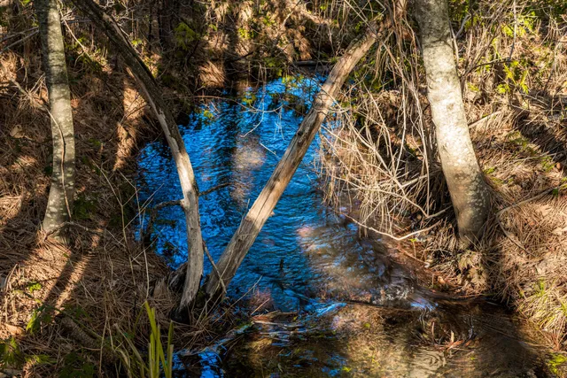 a view of an outdoor space