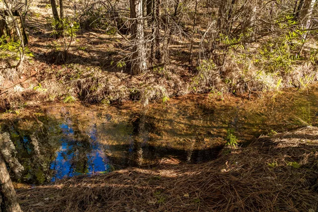 a view of outdoor space