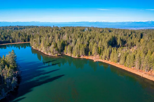 a view of a bunch of trees and bushes