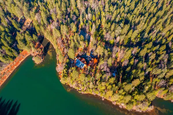 a view of a yard with an trees