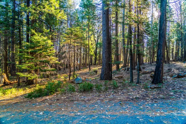 a backyard of a house with lots of green space