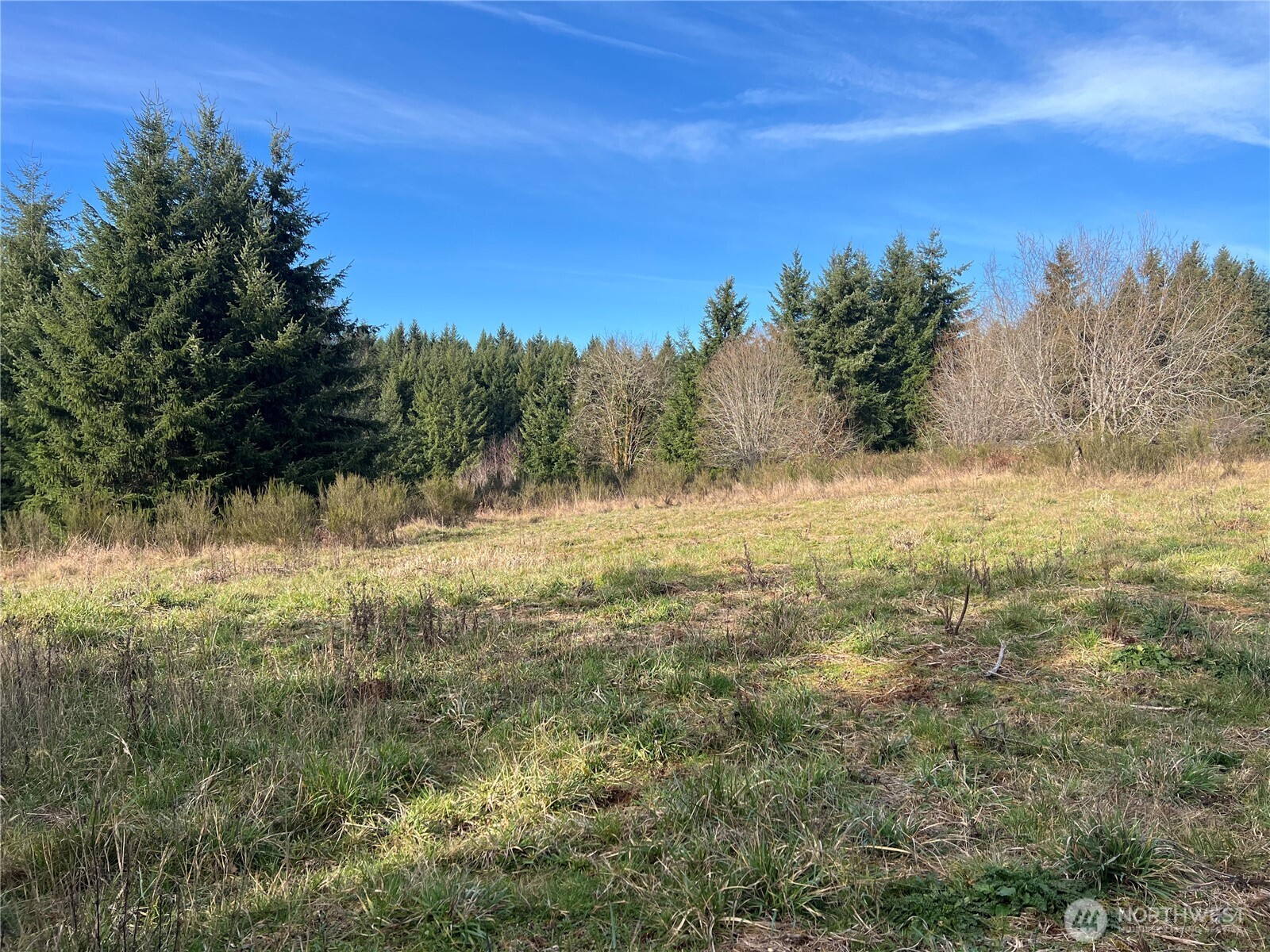 113 Red Rock Lane Chehalis, WA 98532 - Photo 13 of 16