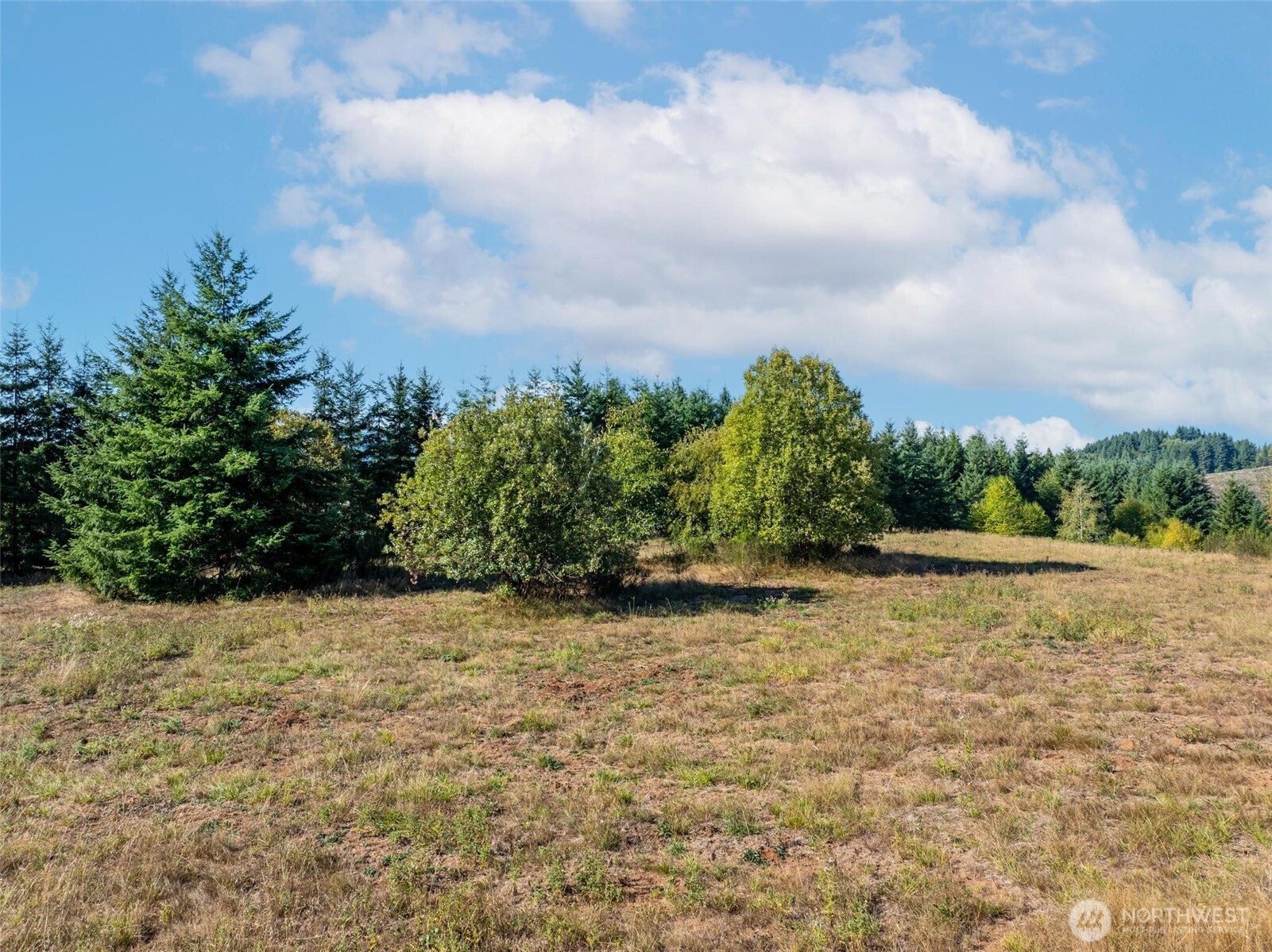 113 Red Rock Lane Chehalis, WA 98532 - Photo 14 of 16