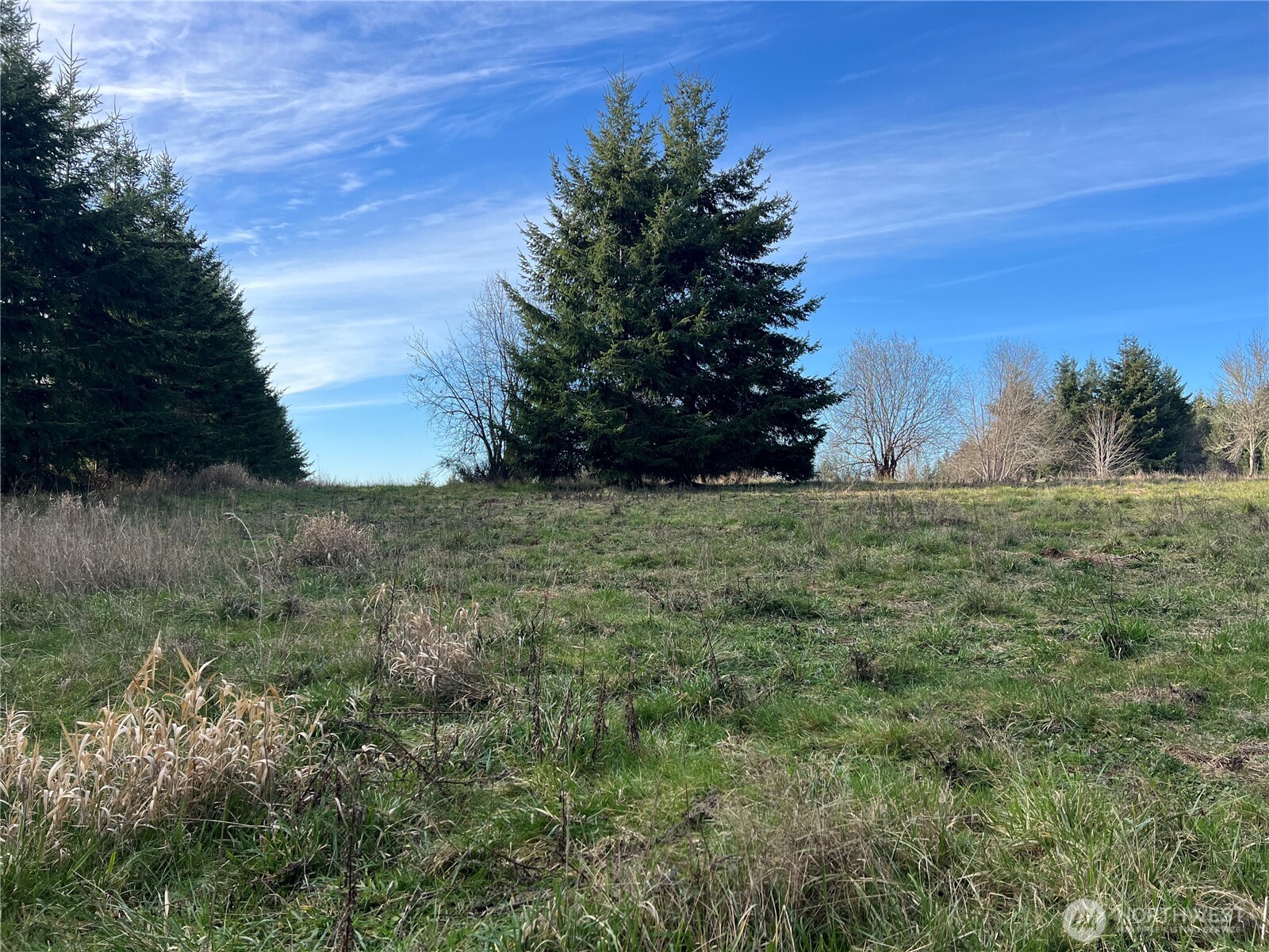 113 Red Rock Lane Chehalis, WA 98532 - Photo 3 of 16 a view of a field of grass and trees