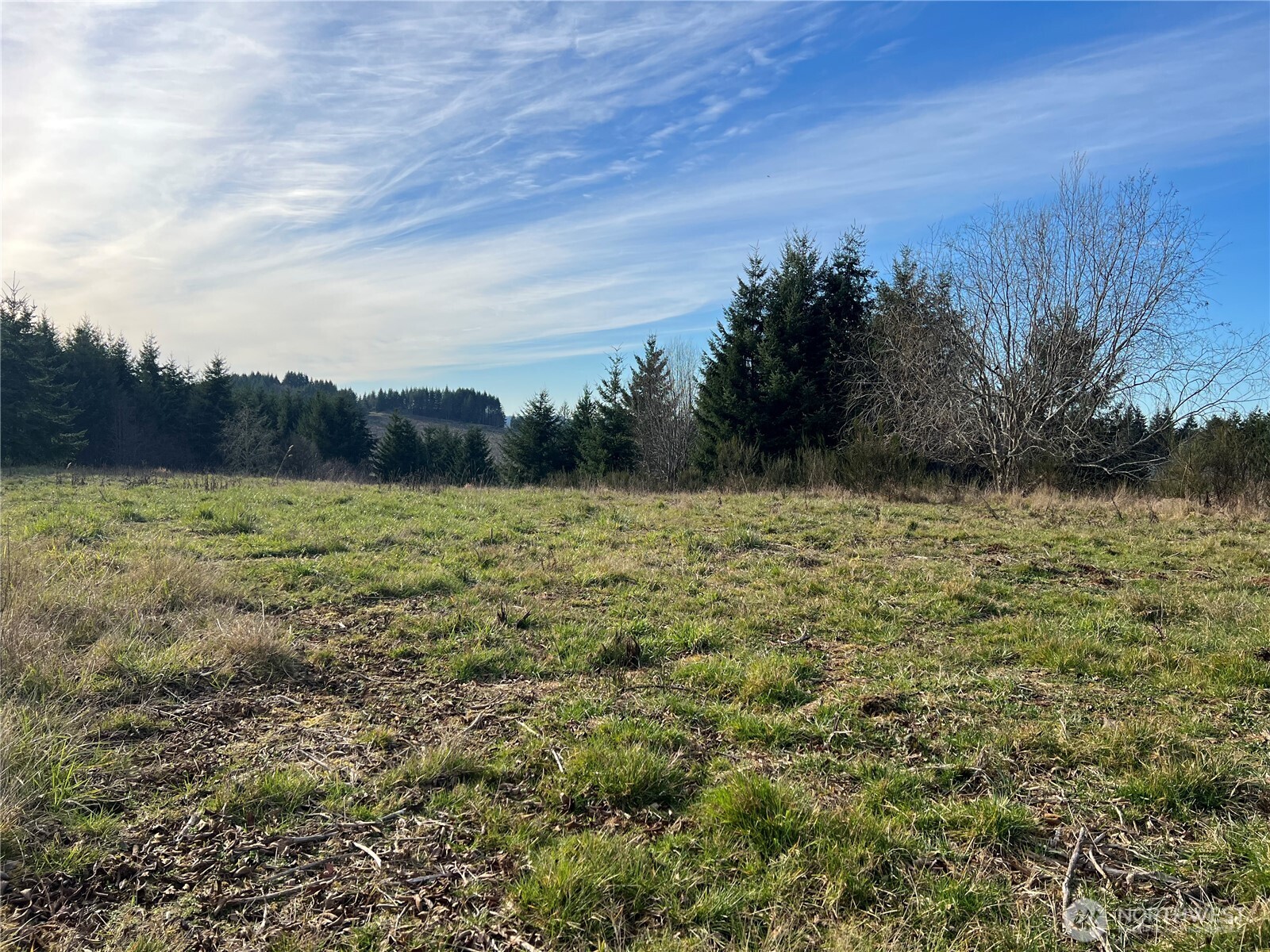 113 Red Rock Lane Chehalis, WA 98532 - Photo 4 of 16 a view of a field with an ocean