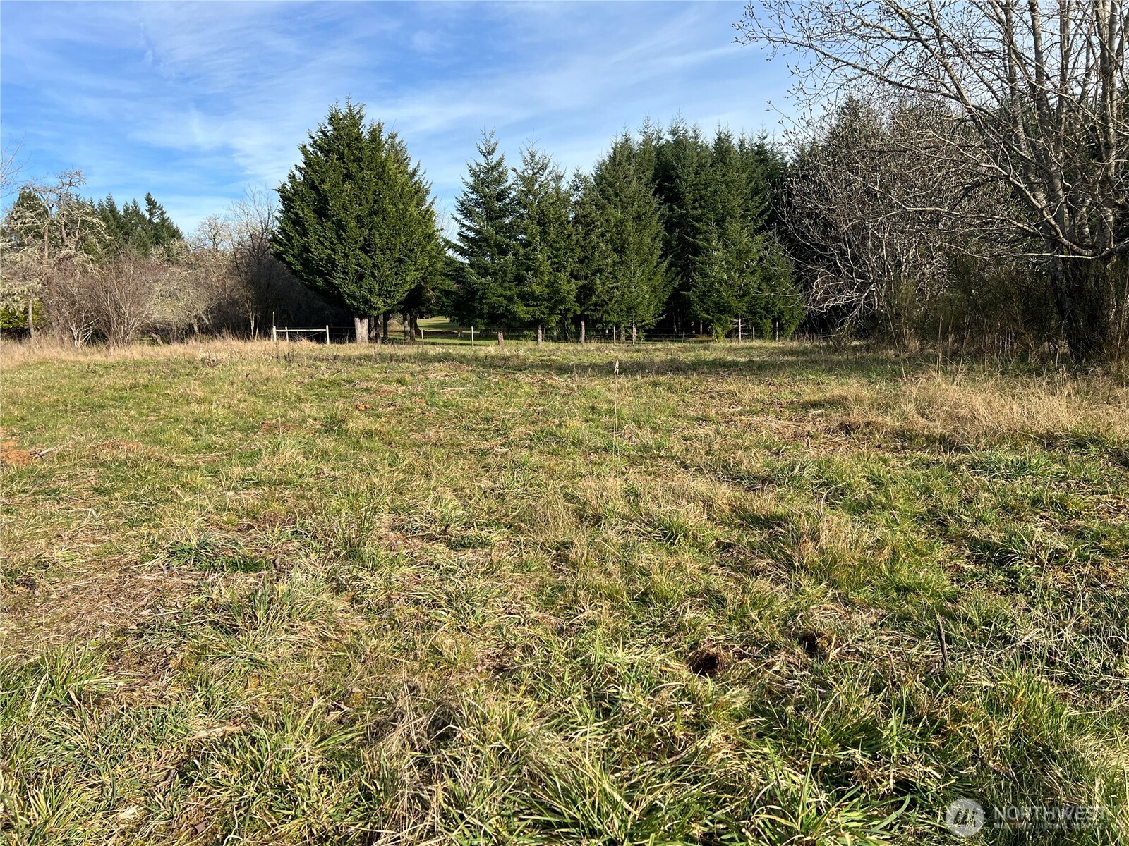 113 Red Rock Lane Chehalis, WA 98532 - Photo 5 of 16 a backyard of a house with lots of green space