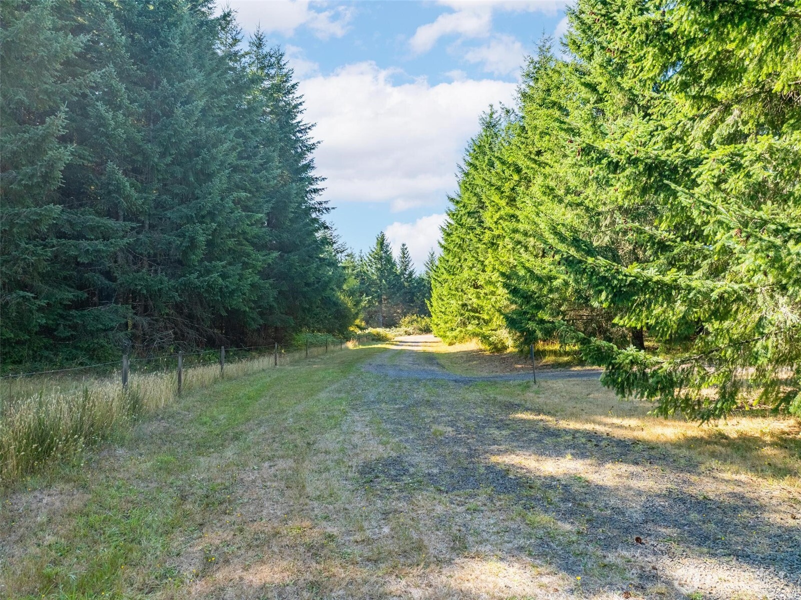113 Red Rock Lane Chehalis, WA 98532 - Photo 7 of 16 a view of outdoor space and yard
