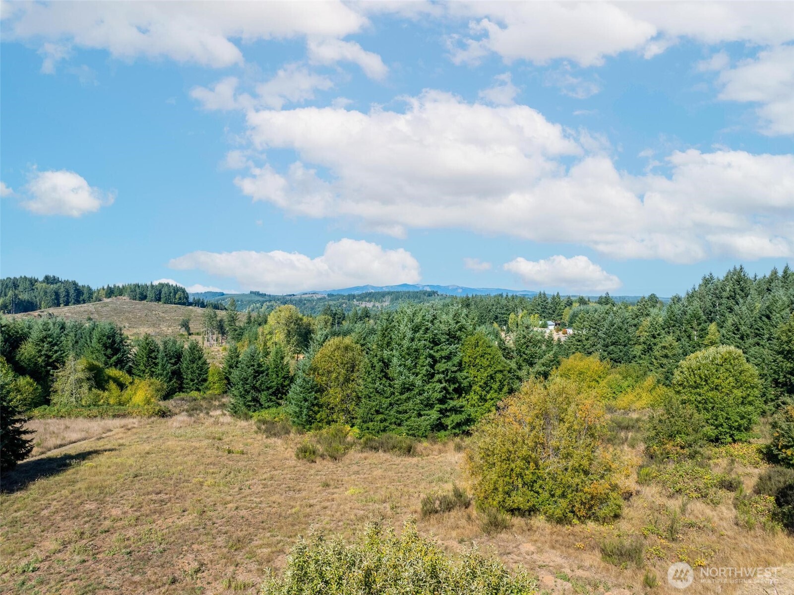 113 Red Rock Lane Chehalis, WA 98532 - Photo 9 of 16 a view of a bunch of trees
