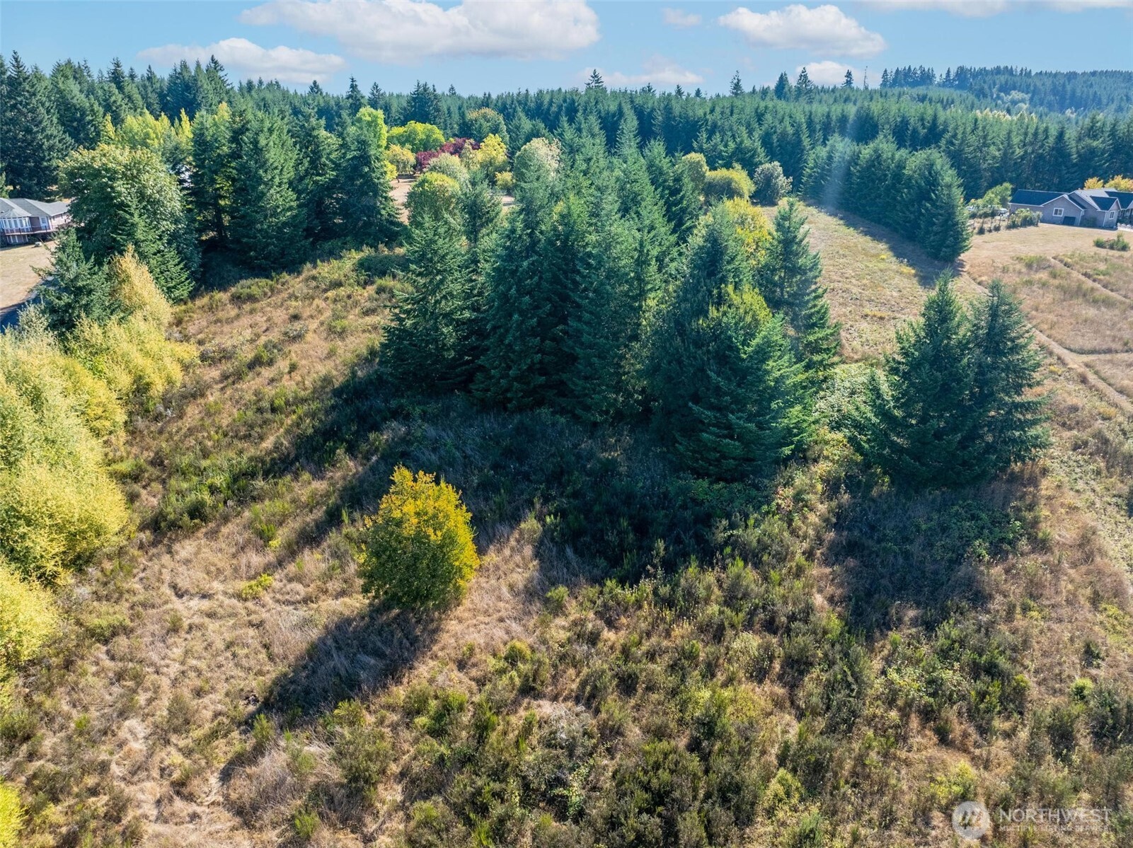 113 Red Rock Lane Chehalis, WA 98532 - Photo 10 of 16 a view of a lake in middle of the forest
