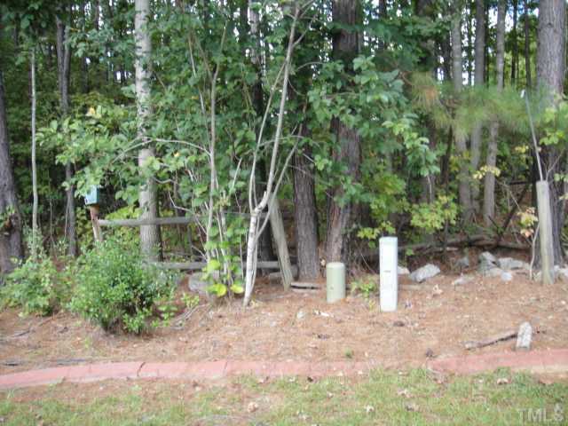 134 Towne View Trail Garner, NC 27529 - Photo 16 of 16 Nice, small backyard with the ability to fence in.