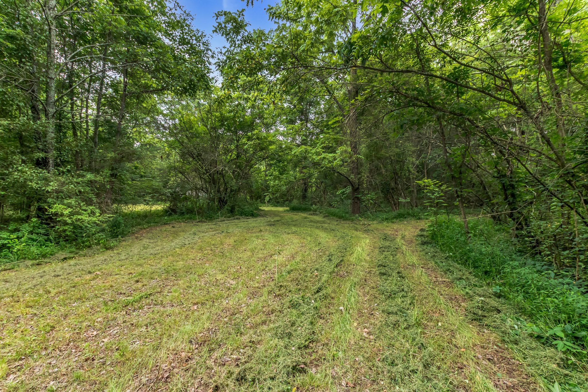 4106 Asbury Road Manchester, TN 37355 - Photo 41 of 58 a view of outdoor space and yard