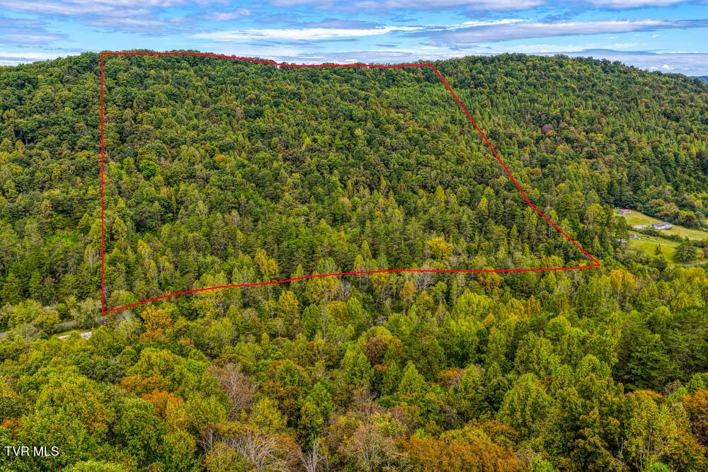 Lot 2 Butcher Valley Road Rogersville, TN 37857 - Photo 13 of 22 Butcher Valley MLSa (14 of 23)
