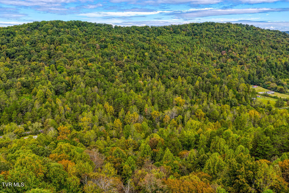 Lot 2 Butcher Valley Road Rogersville, TN 37857 - Photo 14 of 22 Butcher Valley MLSa (15 of 23)