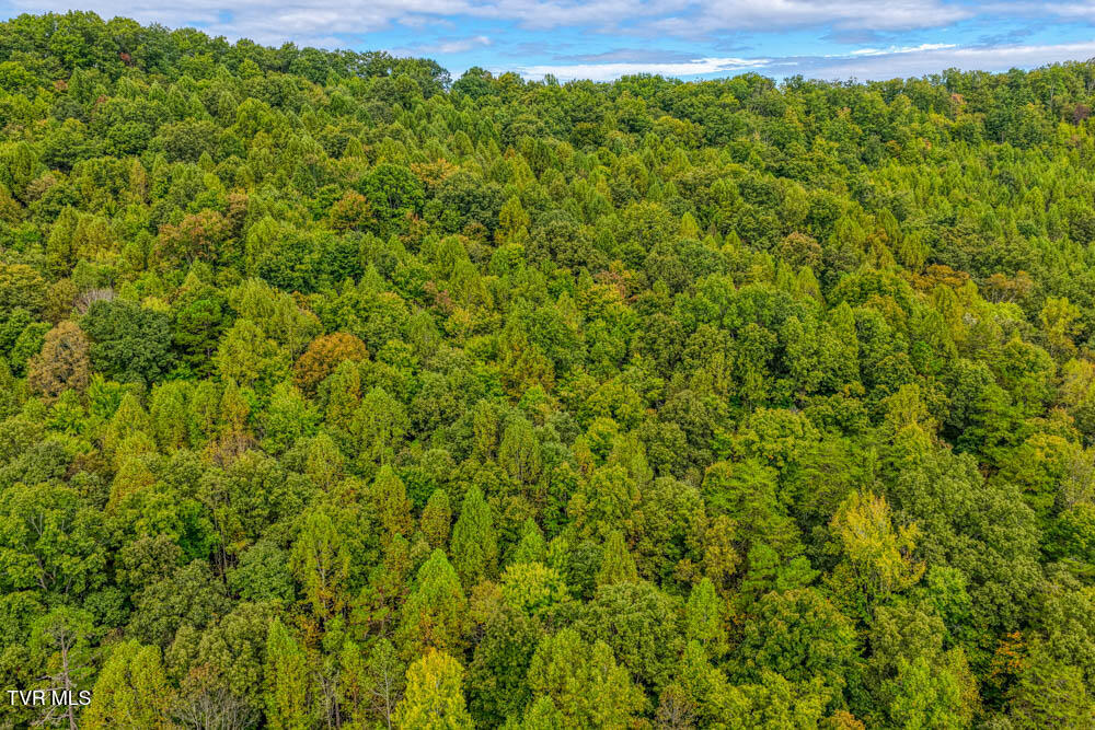 Lot 2 Butcher Valley Road Rogersville, TN 37857 - Photo 15 of 22 Butcher Valley MLSa (16 of 23)