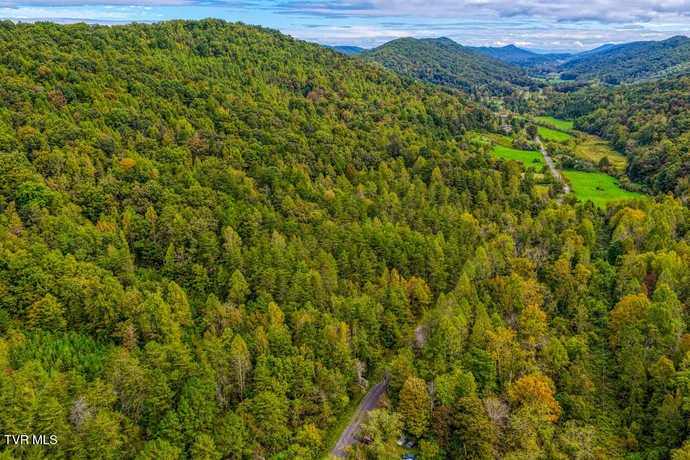 Lot 2 Butcher Valley Road Rogersville, TN 37857 - Photo 3 of 22 Butcher Valley MLSa (4 of 23)