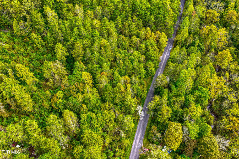 Lot 2 Butcher Valley Road Rogersville, TN 37857 - Photo 8 of 22 Butcher Valley MLSa (9 of 23)