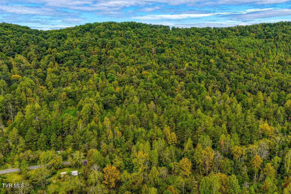 Lot 2 Butcher Valley Road Rogersville, TN 37857 - Photo 10 of 22 Butcher Valley MLSa (11 of 23)